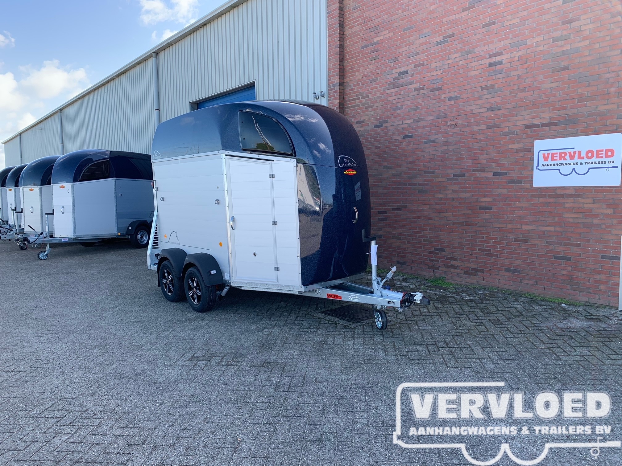 bockmann big champion e wcf